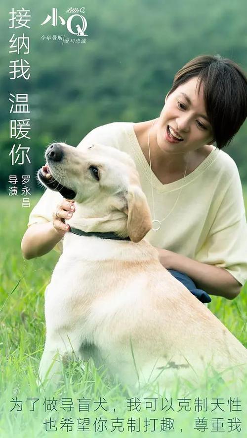 代办日本室蘭工業大學毕业证